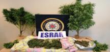 Bursa’da uyuşturucu operasyonu: 3 gözaltı